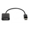 HPL ACC DISPLAYPORT-DVI-D-ADPT