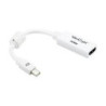 ATN CAB MINI DISPLAYPORT-M-HDMI-F