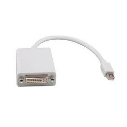 8WR ACC MINI-DISPLAYPORT-DVI-0.2M