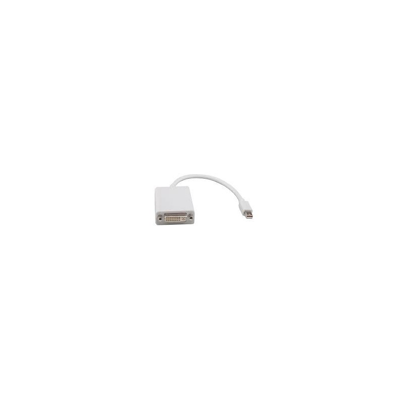 8WR ACC MINI-DISPLAYPORT-DVI-0.2M