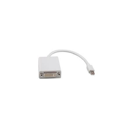 8WR ACC MINI-DISPLAYPORT-DVI-0.2M