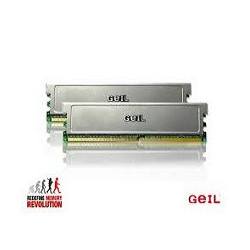 GEI MEM 2-DUAL-2x512-667-C5