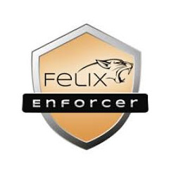 FLX SOF ENFORCER-SEC-1USR-12M-OEM