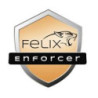 FLX SOF ENFORCER-SEC-1USR-12M-OEM