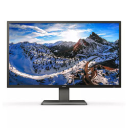 Philips 439P1 43" UHD Montior Docking PD 90W